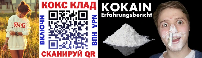 Купить где  Арск  COCAIN Fish Scale 