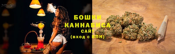 PSILOCYBIN Вязьма