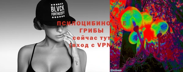 PSILOCYBIN Вязьма